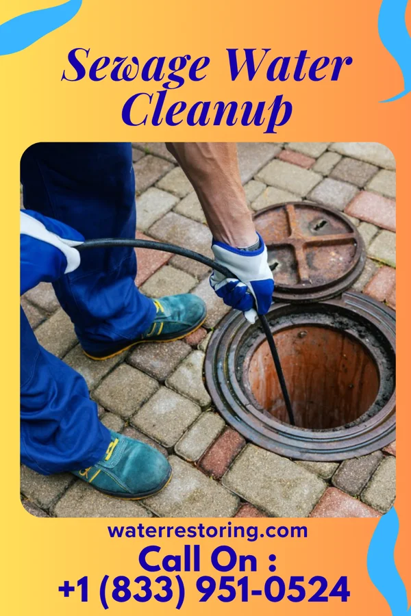 Sewage Water Cleanup in St. Petersburg, FL
